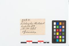 Etikett zu Bronzearmreif (NHMW-PRAE-025311)